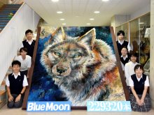 ようじ２３万本のオオカミ　７日文化祭で一般公開　印西　印旛明誠高生が大作絵画