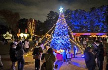 千葉公園でＸマスマーケット、グッズ販売やキッチンカー　「芝庭広場」にぎやかな夜