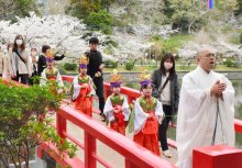 桜の下で稚児行列　男女１０人華やかに　茂原・藻原寺