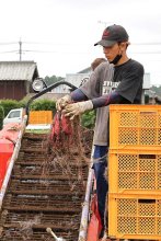 日本一のサツマイモ目指す　スカイアースファーム株式会社（成田市）　【輝く！千葉の企業　日本政策金融公庫レポート】（１２５）