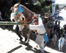 「神馬」石段を一気に　大漁、豊作を祈願　君津・人見神社
