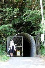 防空壕と軍施設併用か　戦争の不毛さ静かに訴え　館山　赤山地下壕跡　【戦後８０年ちば　記憶宿る地を訪ねて】（５）