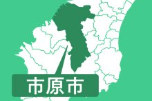 【速報】秋田犬のミックス一時逃走　市原署員が確保
