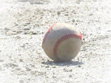 専大松戸など調整　甲子園練習最終日