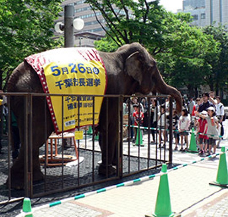 投票呼び掛けの応援にきたランディ＝１８日、中央区の中央公園