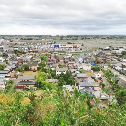 全国魅力度ランキングで最下位タイだった山武市。イチゴ狩りや海のレジャーなどがあるが…
