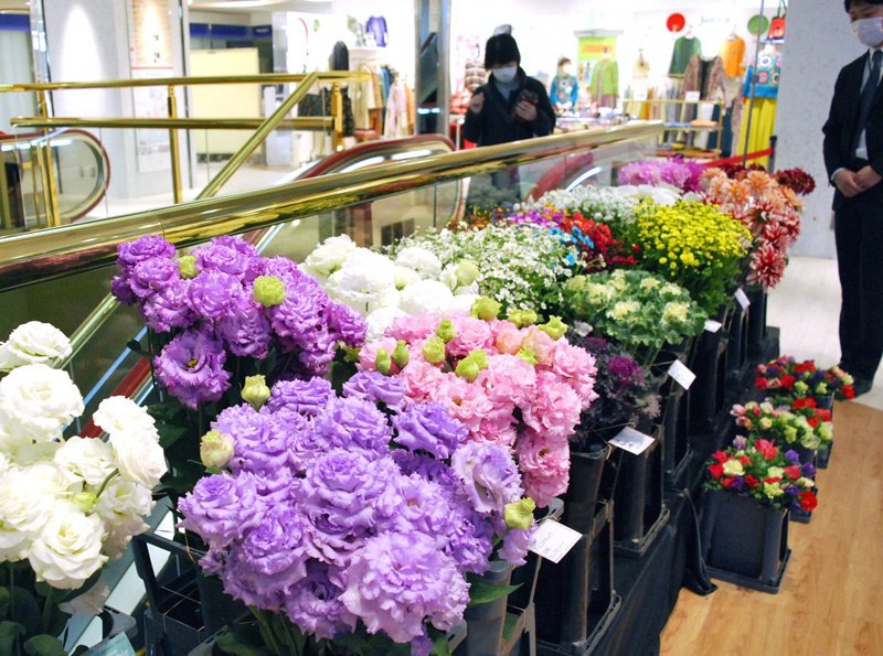 家庭で県産花飾って　そごう千葉店で特別展示　イベント中止、需要低迷で