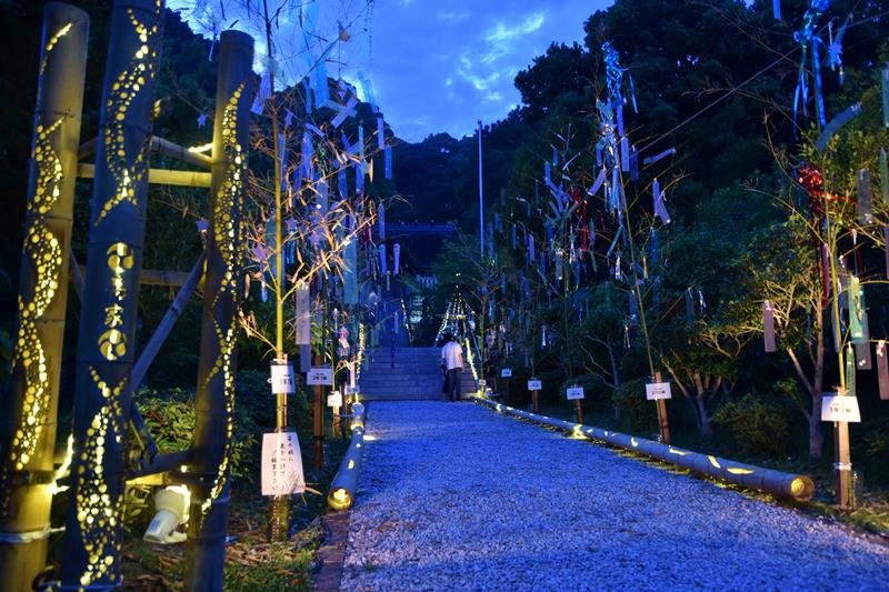 竹灯籠とともにライトアップされた子どもたちの短冊＝５日夜、南房総市の高家神社
