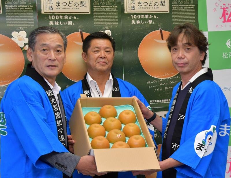 本郷谷市長（左）に市産のナシを届けた高橋会長（中央）ら＝１９日、松戸市

