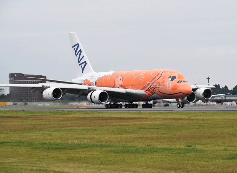 新型コロナウイルスの影響を受け、１年半越しで成田空港に着陸した「フライングホヌ」の３号機＝１６日午後