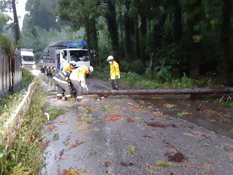 ＜台風１６号＞千葉県内１万５千軒停電、交通網に乱れ　銚子で最大瞬間風速４１・８メートル