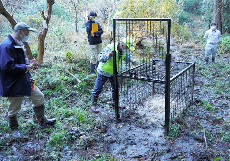 野生動物を捕獲するわなを確認する鳥獣被害対策実施隊員ら＝大多喜町