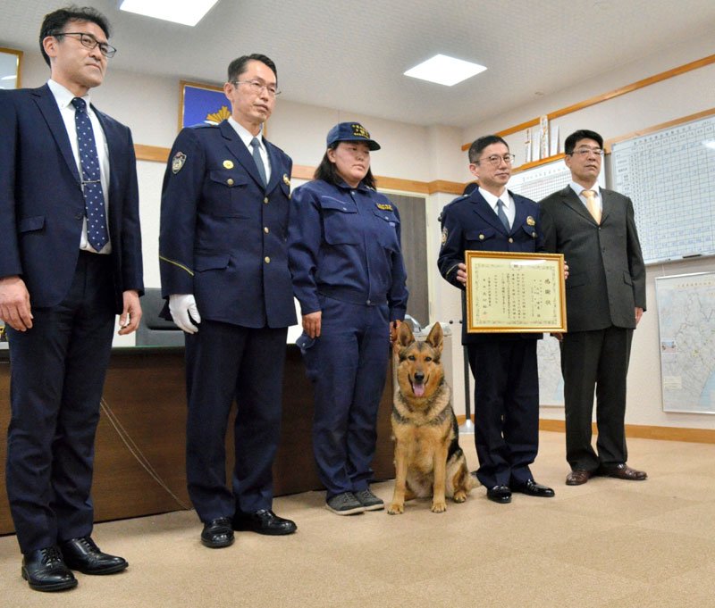 “初手柄”の警察犬エレナ号に感謝状　行方不明の高齢女性を発見、救う　山武署
