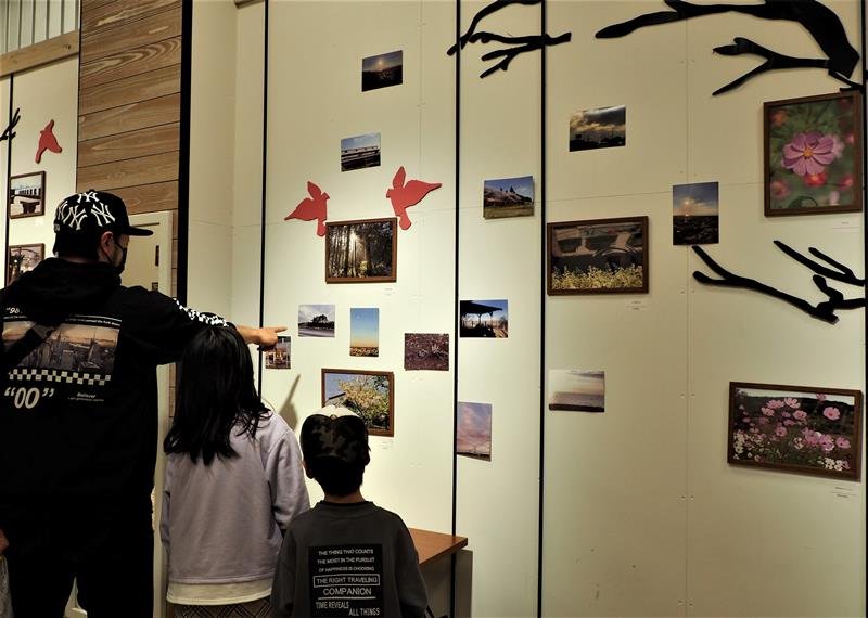四季折々の身近な魅力を捉えた写真展「らづメモリー」＝木更津市
