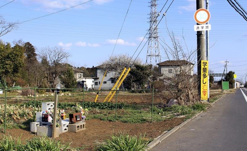 献花台が置かれた事故現場＝１１日、八街市（共同）