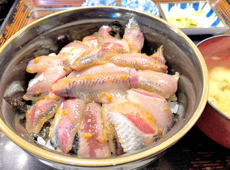 「入梅イワシ」水揚げ　銚子漁港に活気　一年で最もおいしい時季