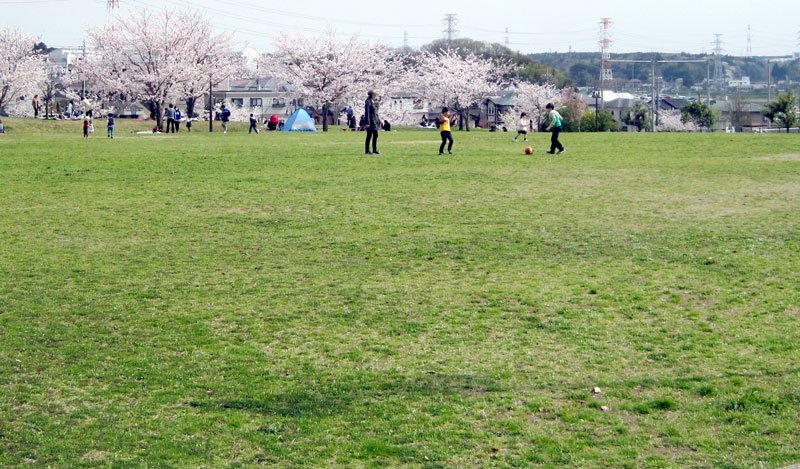 サービスや交流を創出する新施設の事業者を募集している市原市立ちはら台公園（市提供）