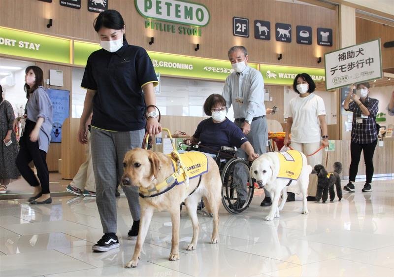 イオンモール幕張新都心で行われた補助犬のデモンストレーション＝２５日、千葉市美浜区