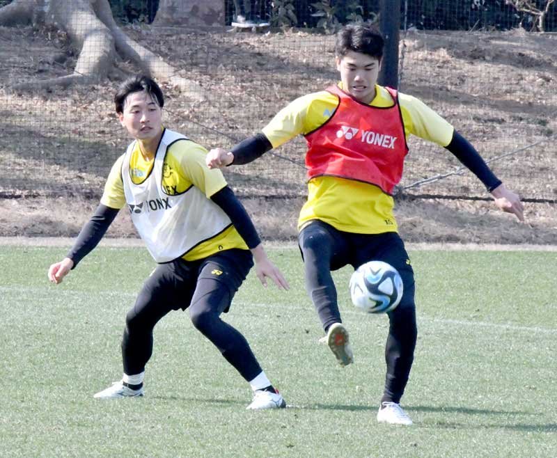 実戦で連係確認　増えた攻撃の幅　柏レイソル　【いよいよＪ開幕　県勢にワクワク】