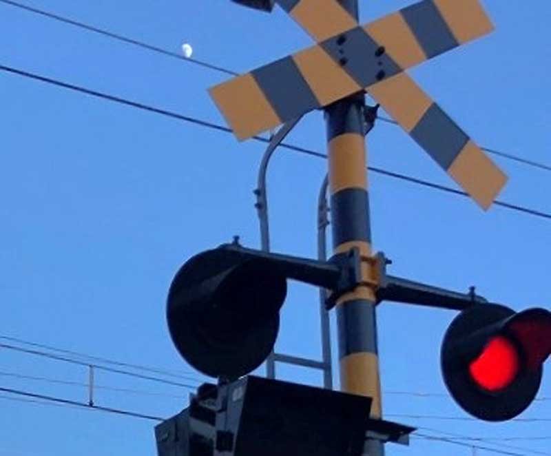 ※写真はイメージ