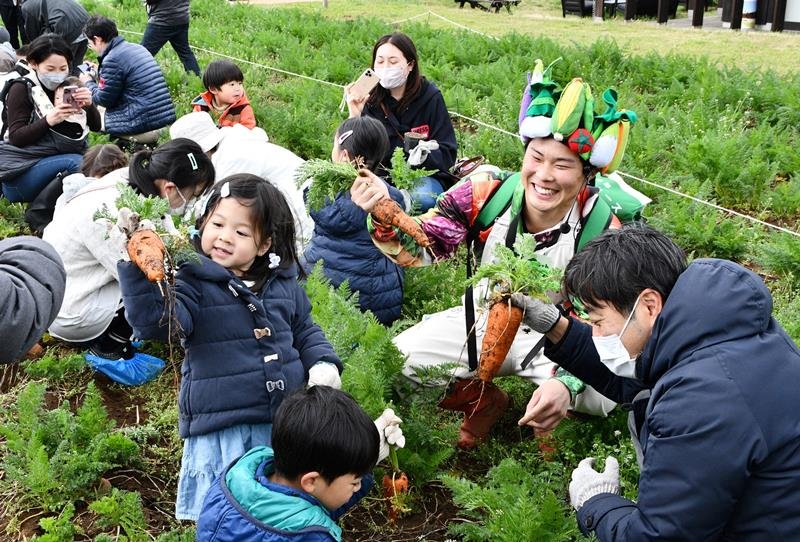 ヤサイちゃん（右から２人目）と一緒にニンジンを収穫する参加者＝香取市