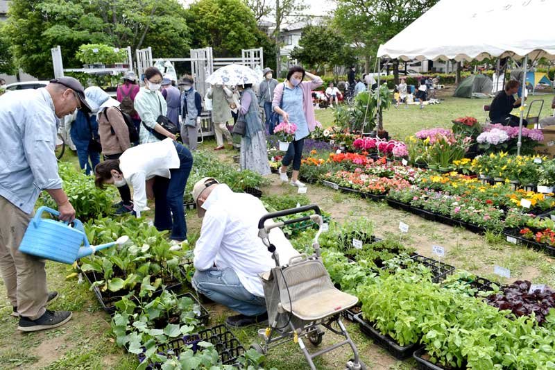 色鮮やかな花々や野菜の苗を販売する「緑のまつり」＝佐倉市ユーカリが丘