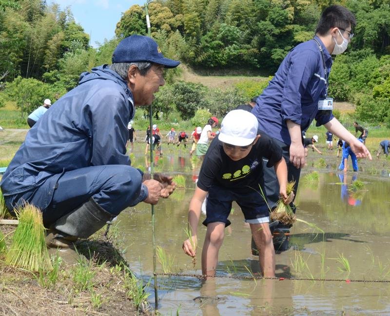 地元農家に教わりながら田植えを行う児童ら＝大網白里市
