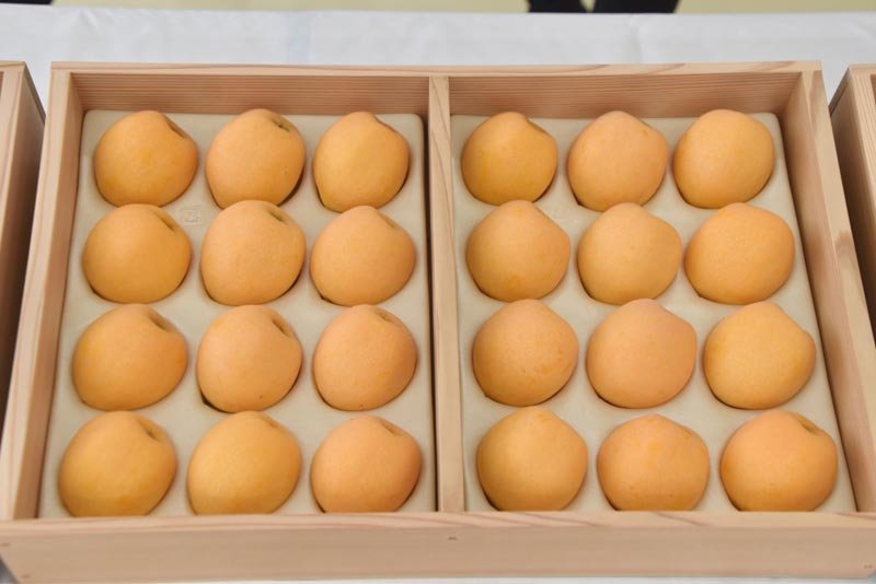 「房州びわ」皇室献上　珠玉の大粒勢ぞろい、穂積さん生産の品天皇陛下へ　南房総市で選果式