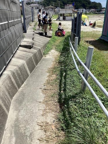 「きれいで安全なビーチ」　勝浦・興津海水浴場　ブルーフラッグ国際認証取得　千葉県内２例目