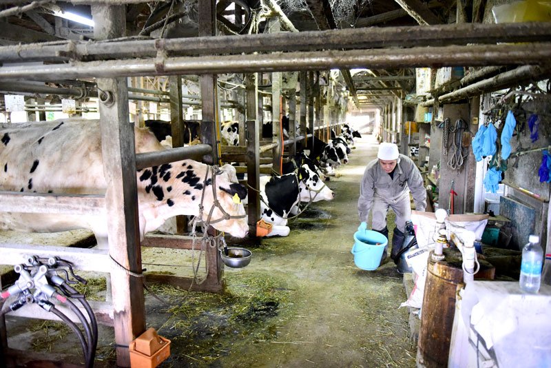 搾乳舎で作業する飯田さん＝千葉市若葉区
