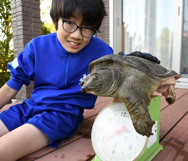 芝山町内の川で見つけた巨大なニホンスッポンを紹介する萩原颯介さん＝２０日、同町