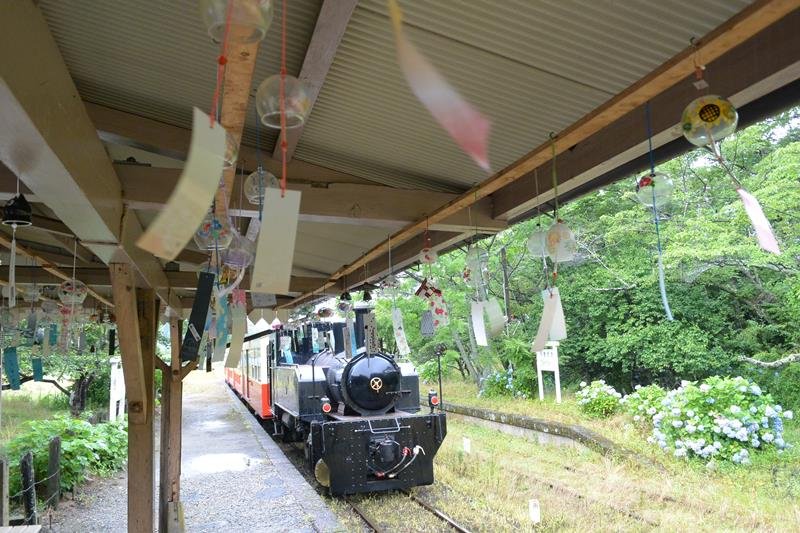 風鈴が揺れる小湊鉄道月崎駅に到着したトロッコ列車＝１日、市原市
