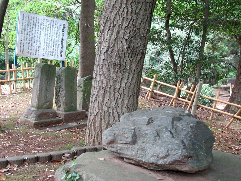 合戦舞台「境目の要」　国府台城（市川市）　【一度は訪れたい　郷土の古城】（１）