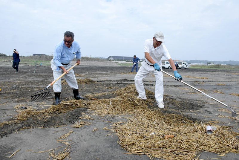 砂浜に漂着していた稲わらなどをかき集める住民＝５日、旭市