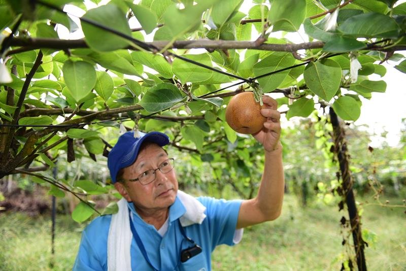 日焼けした新高を持つ荒井一昭さん＝市川市
