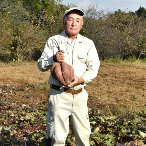 畑で収穫した形の変わったサツマイモを披露する石井定夫さん＝千葉市若葉区大草町
