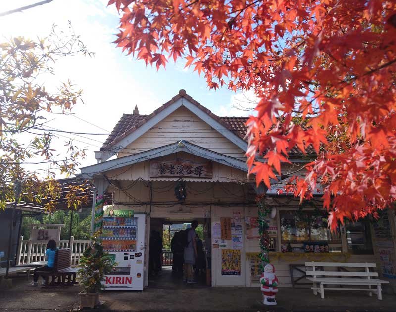 小湊鉄道全線で運転再開　市原、紅葉シーズンでにぎわう　仮復旧、平日は一部運休
