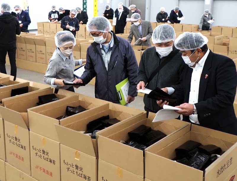 新ノリの色、つや、香りを慎重に吟味する業者＝１日、富津市