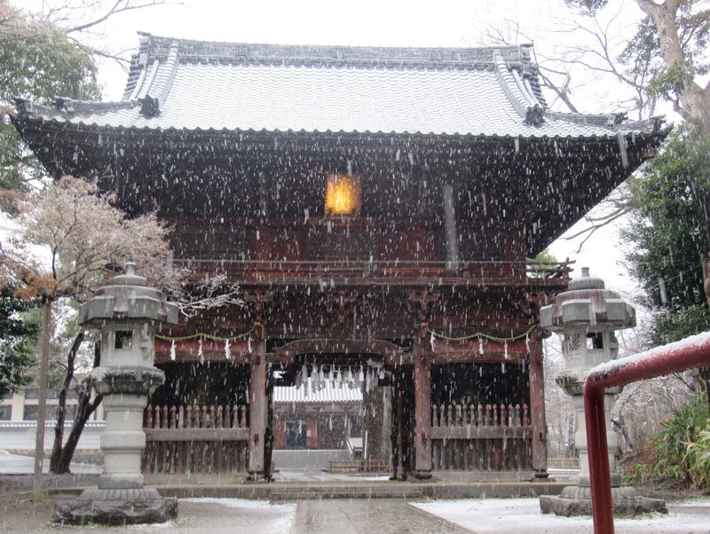 雪景色になった真間山弘法寺＝５日午後３時１５分、市川市
