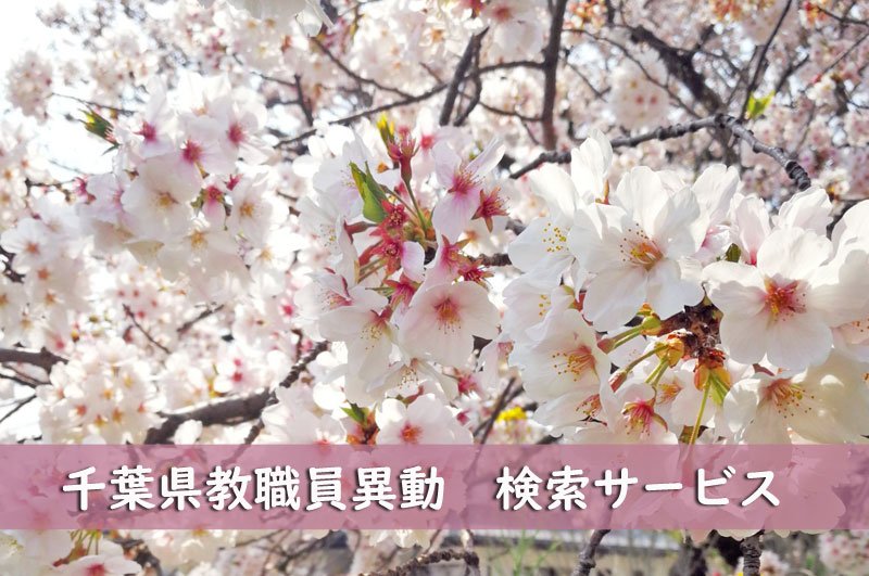 千葉県教職員異動　検索サービス