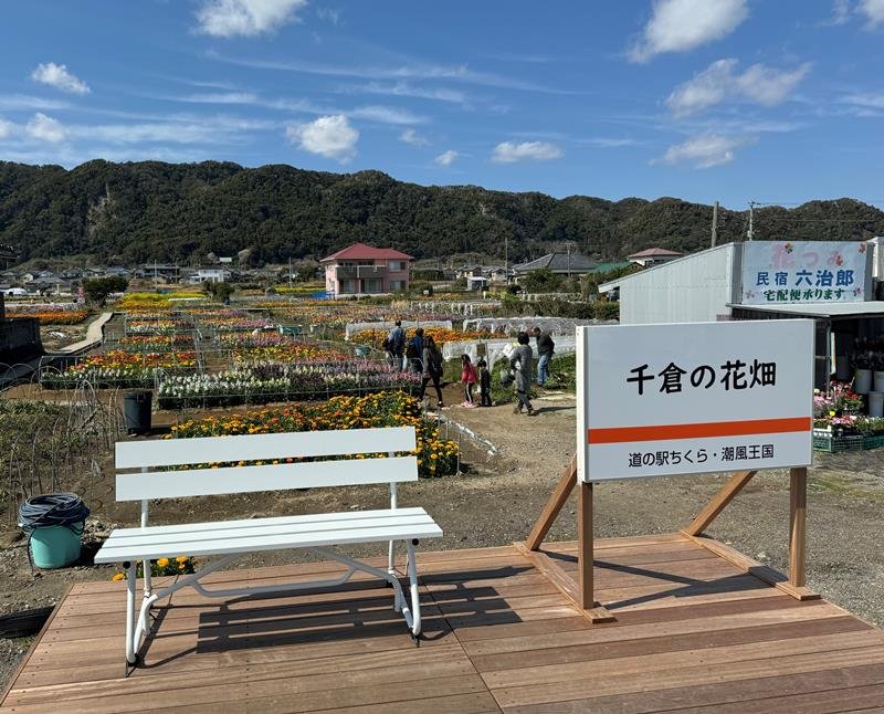 花畑前に新たに設置されたフォトスポット＝南房総市
