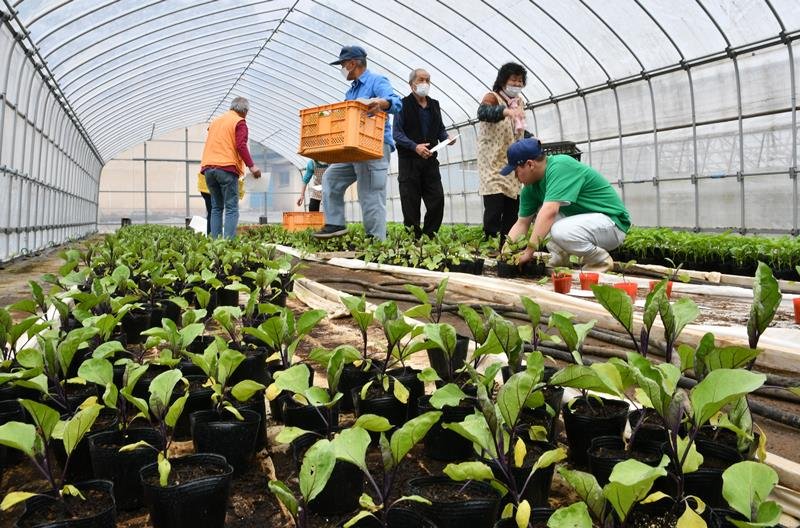 客と一緒に野菜の苗を選ぶ多古高の生徒たち＝１８日、多古町
