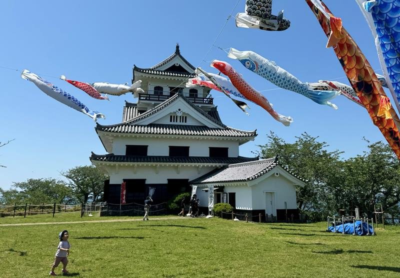 館山市の城山公園でこいのぼり約６０匹が風を受け優雅に泳いでいる