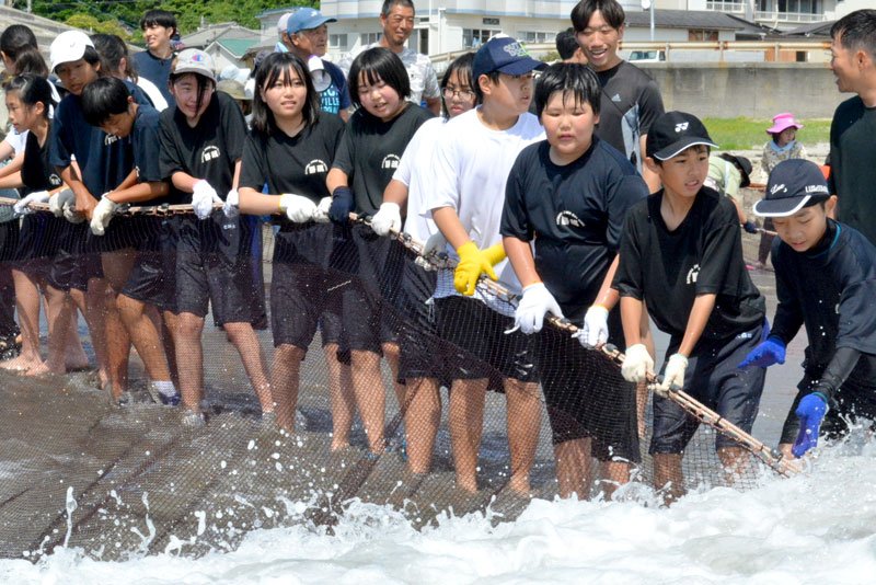 地引き網漁を体験した勝浦中１年生＝１９日、勝浦市