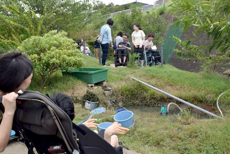水を抜いた「ひまわりの池」を興味深そうに眺める観察会の参加者ら＝２１日、船橋市夏見台