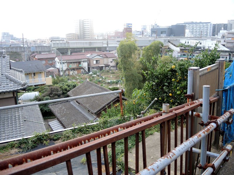 市民農園などが広がる新松戸駅東側地区土地区画整理事業の用地＝１０日、松戸市
