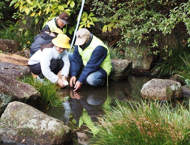 紙コップに入れたホタルの幼虫を住民団体と一緒に放流する児童＝君津市
