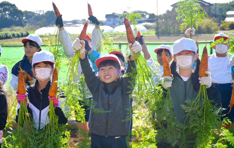 富里市特産のニンジンを収穫して喜ぶ児童＝２５日、同市