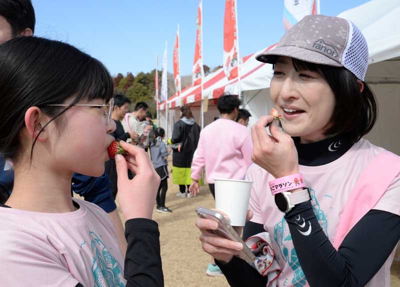 千葉市いちごマラソンの給水所で“給イチゴ”を楽しむ親子＝１５日、同市若葉区の千葉市民ゴルフ場