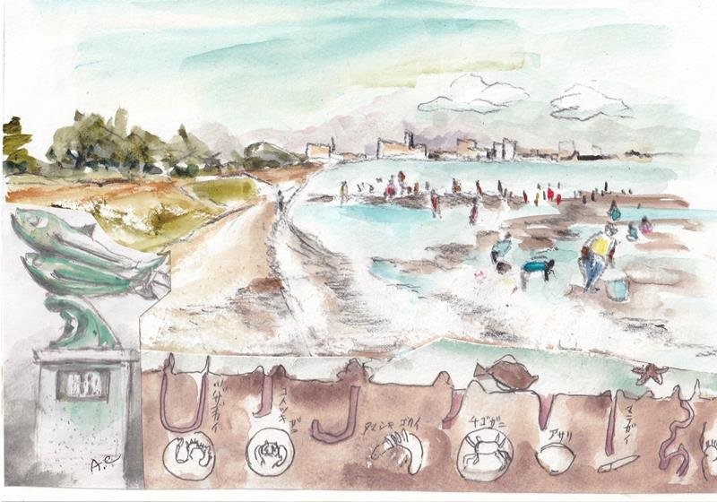 三番瀬海浜、三番瀬の生きもの（三番瀬環境学習館より）、彫像と碑文（八千代橋）の３点コラージュ

